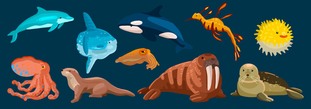 Aquatic animals in cel shading