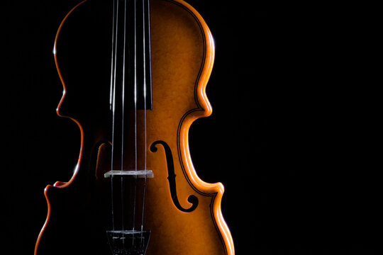 Violon sur fond noir