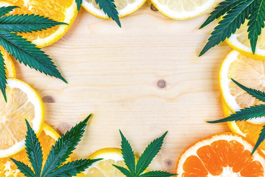 Cannabis Terpene concept with leafs lemon orange and blood orange and copy space