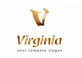 letter V logo Template for your company