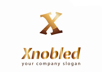 Obraz premium letter X logo Template for your company