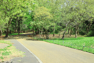 屋外のランニングコースの風景
