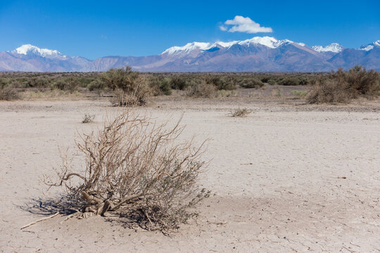 A dry lake called pampa el leoncito or barreal blanco, with the Andes mountains in the background.. This touristic landmark is located in San Juan, Cuyo, Argentina.