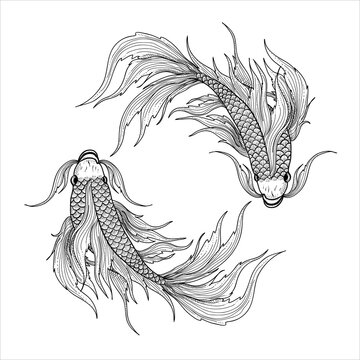 illustration vector two fish pisces zodiac symbol