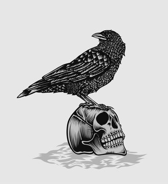 recommend clip art: illustration vector crow bird with skull
