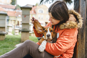 Adult caucasian woman holding her basset hound dog pet while sitting in park in spring or autumn day - real people pet owner bonding care and friendship concept