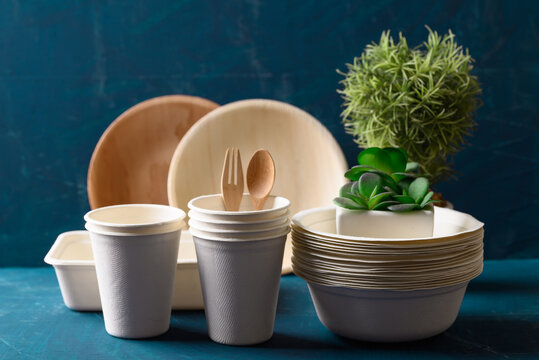 Biodegradable utensil, Natural packaging product (dish, plate, bowl, and cup), Eco friendly and sustainable concept