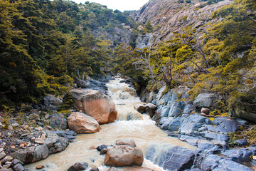 River in National Park. Stones and trees on cloudy day.