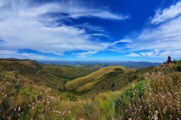 Naklejka premium Felipe Leonel