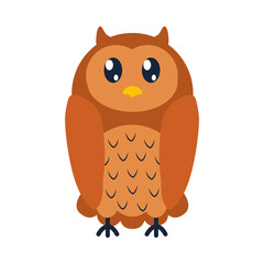 cute owl icon