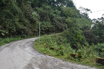 A curved asphalt road in the hilly forest.