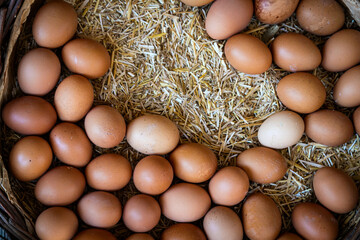 Close-up brown eggs on a background of straw, top view. Real farm chicken eggs