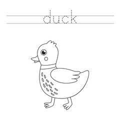 Tracing letters with cute farm duck. Writing practice for kids.