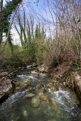 stream in the wild forest on a sunny spring day, Tuscany