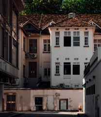 Light at the back alley of a tiled shophouse in Singapore, against a forest.