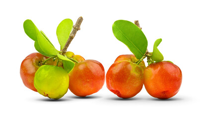 fresh cherry on white background