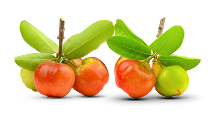fresh cherry on white background