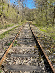 Obraz premium In der Rheinlandpfalz im Frühling