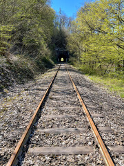 Fototapeta premium In der Rheinlandpfalz im Frühling