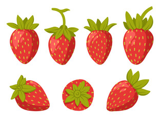 Collection of strawberries isolated on white background. Fresh, organic berries. Healthy and beneficial product. Gardening or horticulture concept. Vector illustration.