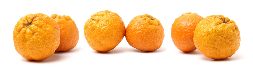 ugly tangerine on a white background 