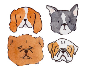 set of dog breeds head illustration cartoon watercolor Border collie, Bulldog, Chow-Chow, Cavalier Kingcharlie Spaniel