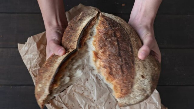 Hands hold and break a large appetizing loaf of homemade bread with a crispy baked crust