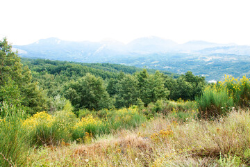 Fototapeta na wymiar Lanscape of Pollino national park in summer, Basilicata region, ITaly 