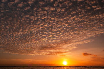 Fototapeta premium Vibrant sunsets descending in the ocean with orange and yellow colors, some cirrus painting the sky in a nice shape. Iriomote Island.