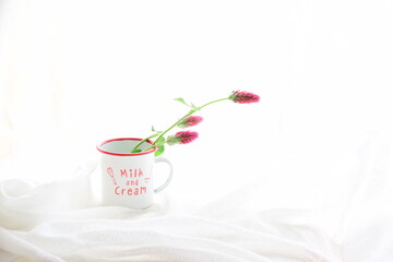 Strawberry torch
ストロベリートーチ