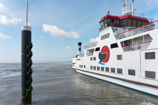 The MS Oerd is a ferry and has been sailing on the Ameland - Holwerd route in The Netherlands since 2003. The ship is used by Wagenborg Passenger Services.