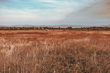 Spring sunset in the lagoon of Grado