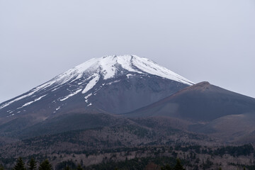 Fototapeta premium 富士山 宝永山