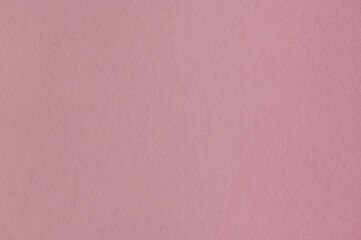 Fototapeta premium Closeup of seamless rose paper texture