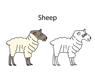 Funny cute domestic animal sheep isolated on white background. Linear, contour, black and white and colored version. Illustration can be used for coloring book and pictures for children