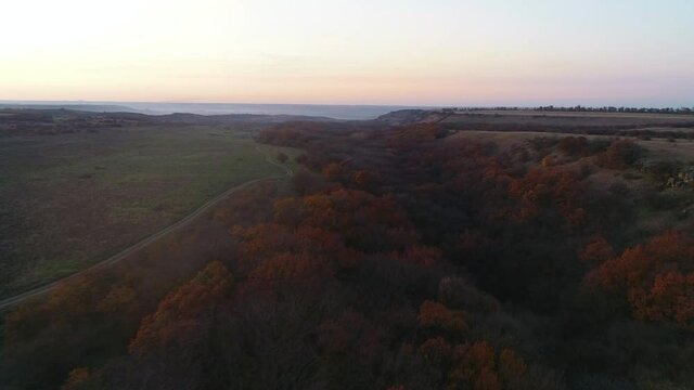 Flight in the evening over the forest and meadow in autumn