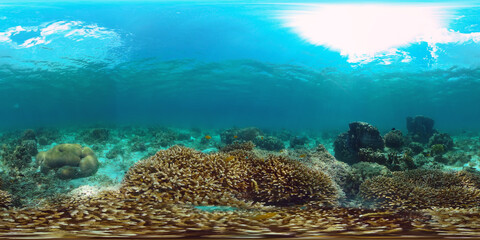 Underwater fish garden reef. Reef coral scene. Seascape under water. Philippines. Virtual Reality 360.