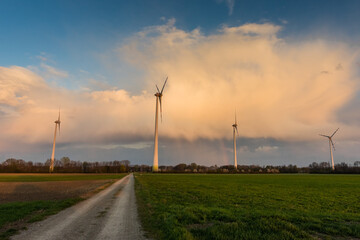 windmills on green fields and a dirt road with beautiful sky