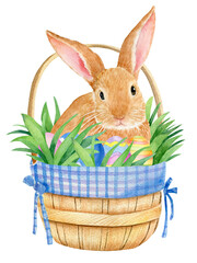 Watercolor illustration with rabbit in basket isolated on white background.