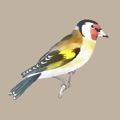 Calm watercolor bird. Poster on the wall in the bedroom or nursery. Yellow exotic bird on a branch. Light background.