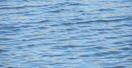 Ripples and shinny on blue water surface on Florida river