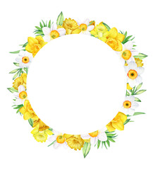 Watercolor round frame with yellow and white daffodils on white background. Botanical hand drawn template for cards, invitations, any print design.