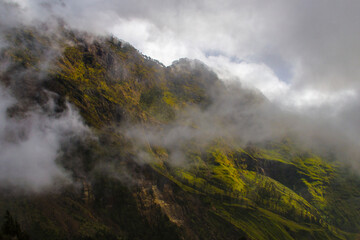 Fog in Mount Rinjani Forest