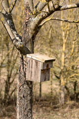 Naklejka premium Vogelnistkasten Eigenbau