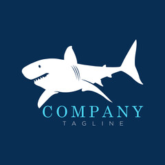 illustration of a shark