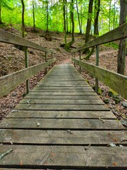 wooden bridge in the woods