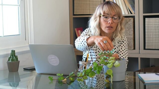 Adult middle aged woman have care of nature plant on the desktop during smart working home office activity - portrait of lady with modern connection job free - real lifestyle people