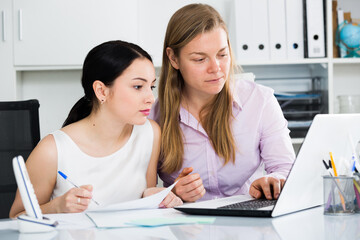 Obraz premium Two young female workers working productively on project in office