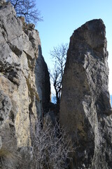 природный заповедник Крыма. Тропа князя Голицины. Крым 