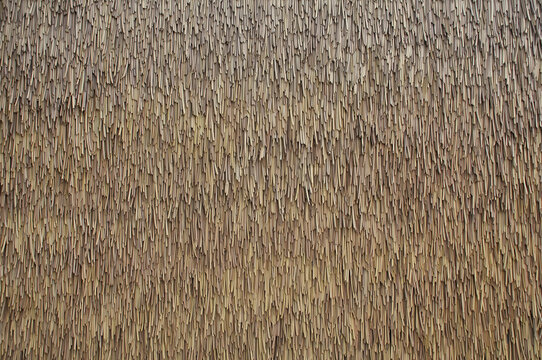 texture of the dry grass roof background